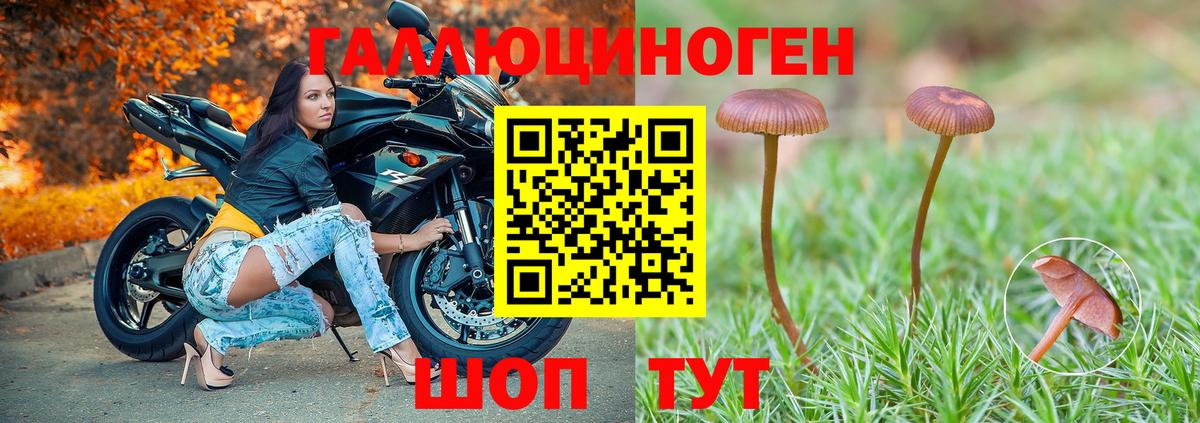 Галлюциногенные грибы мицелий Соликамск