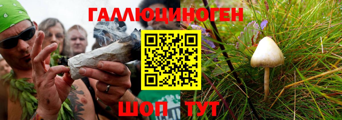 Псилоцибиновые грибы GOLDEN TEACHER  Псилоцибиновые грибы мухоморы  Соликамск 