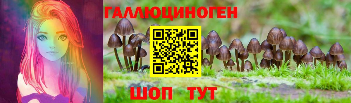 Галлюциногенные грибы Magic Shrooms  Вход с VPN  Псилоцибиновые грибы Magic Shrooms  Соликамск 