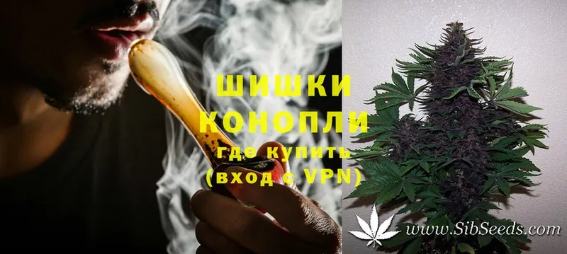 Бошки марихуана THC 21%  Соликамск 